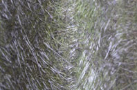 St Lawrence fibreglass roof work